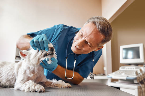 Best Emergency Tooth Extraction in Hwatha, IA